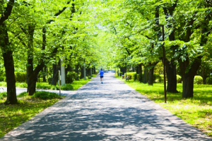 throwjogging-situnei